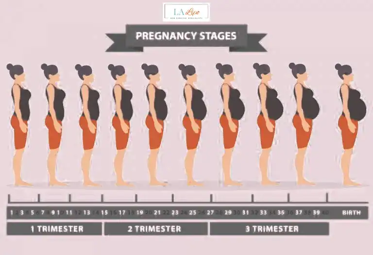 First Trimester (Weeks 1–12): Early Changes You Might Not Notice Wrexham
